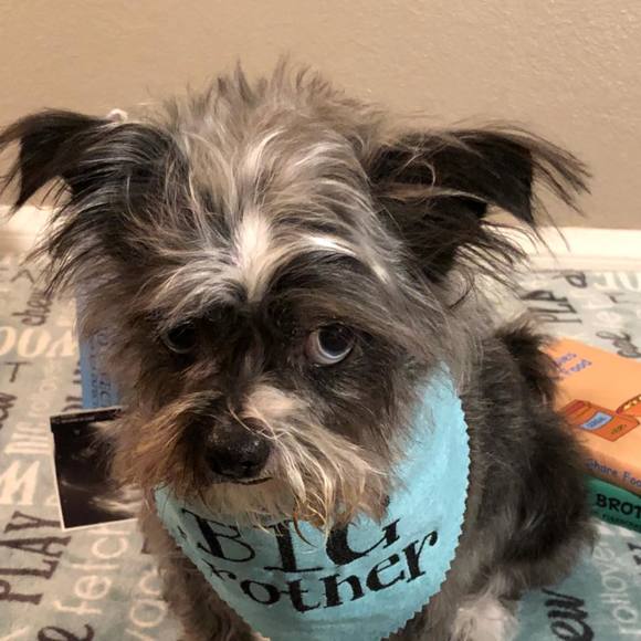 Meet your Posher, Ally - Picture 1 of 1